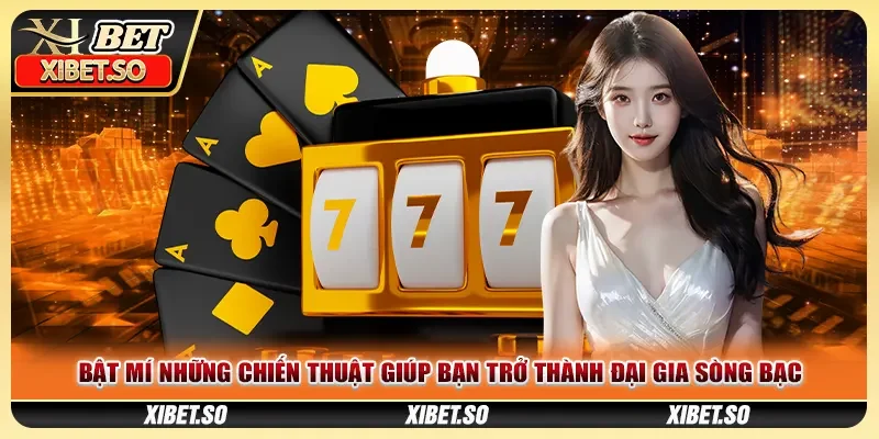 Bật mí những chiến thuật giúp bạn trở thành đại gia sòng bạc