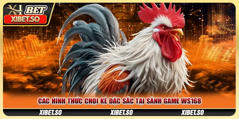 Các hình thức chọi kê đặc sắc tại sảnh game WS168
