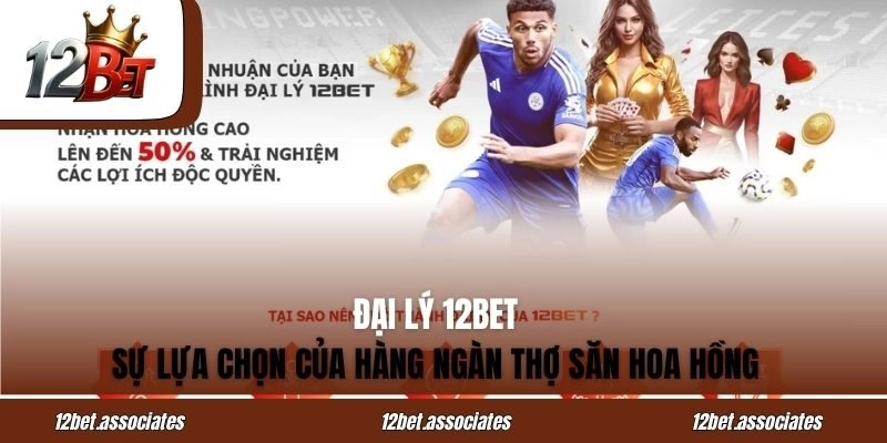 Đại Lý 12BET - Sự Lựa Chọn Của Hàng Ngàn Thợ Săn Hoa Hồng