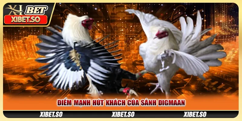 Điểm mạnh hút khách của sảnh Digmaan