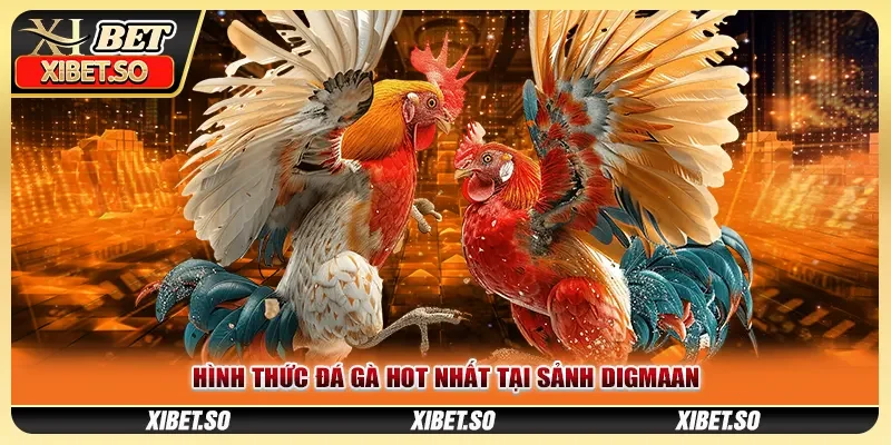 Hình thức đá gà hot nhất tại sảnh Digmaan