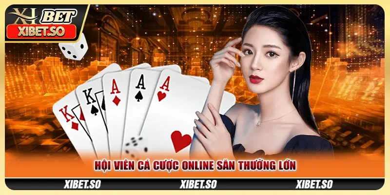 Hội viên cá cược online săn thưởng lớn