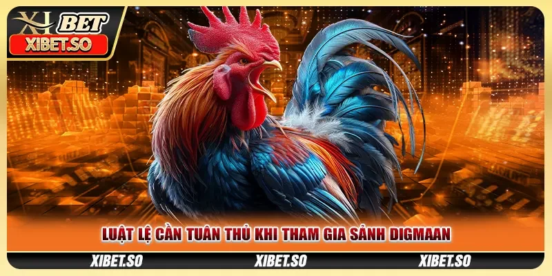 Luật lệ cần tuân thủ khi tham gia sảnh Digmaan