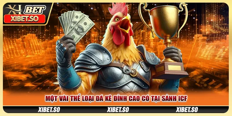 Một vài thể loại đá kê đỉnh cao có tại sảnh ICF