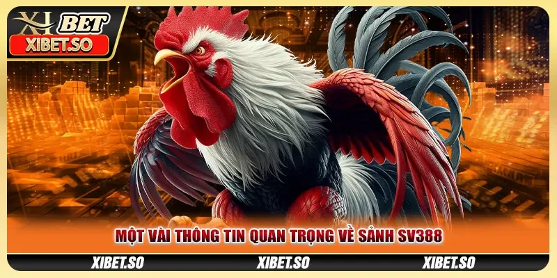 Một vài thông tin quan trọng về sảnh SV388
