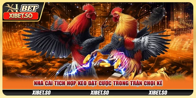Nhà cái tích hợp kèo đặt cược trong trận chọi kê