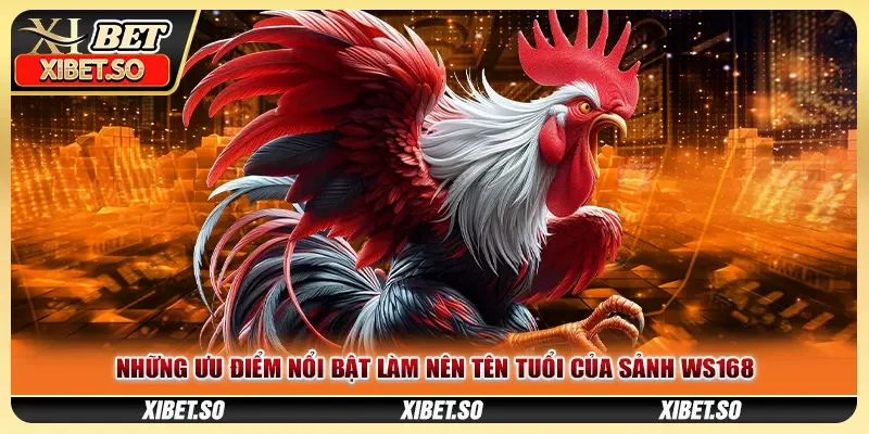 Những ưu điểm nổi bật làm nên tên tuổi của sảnh WS168