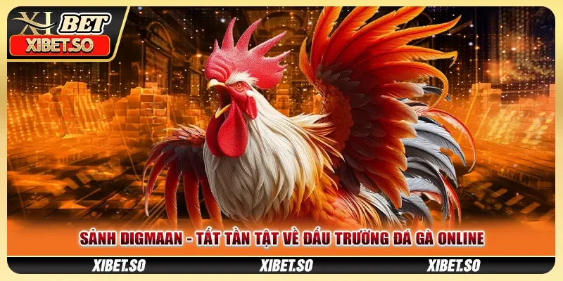 Sảnh Digmaan - Tất Tần Tật Về Đấu Trường Đá Gà Online