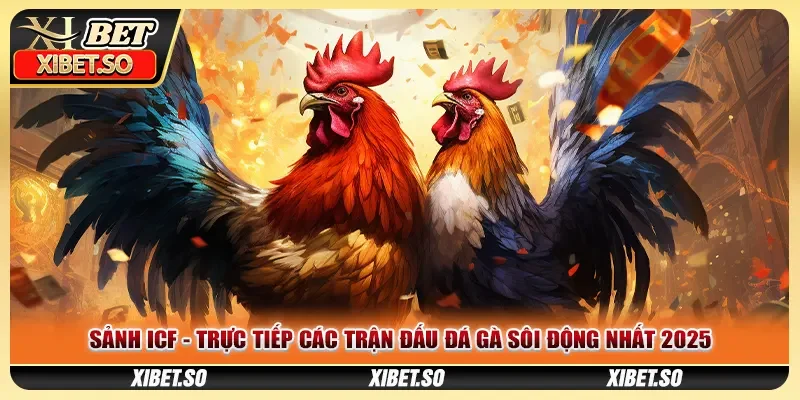 Sảnh ICF - Trực Tiếp Các Trận Đấu Đá Gà Sôi Động Nhất 2025