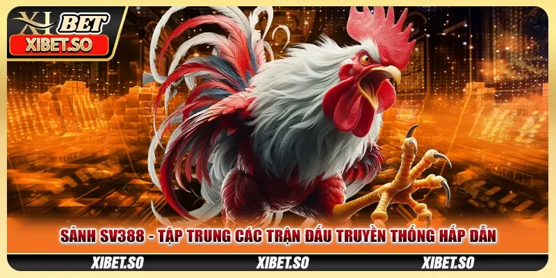 Sảnh SV388 - Tập Trung Các Trận Đấu Truyền Thống Hấp Dẫn