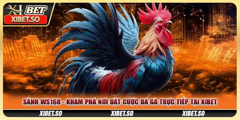Sảnh WS168 - Khám Phá Nơi Đặt Cược Đá Gà Trực Tiếp Tại XIBET