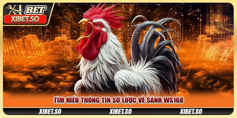 Tìm hiểu thông tin sơ lược về sảnh WS168