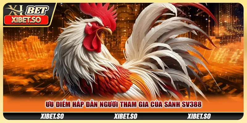 Ưu điểm hấp dẫn người tham gia của sảnh SV388